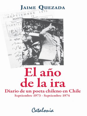 cover image of El año de la ira